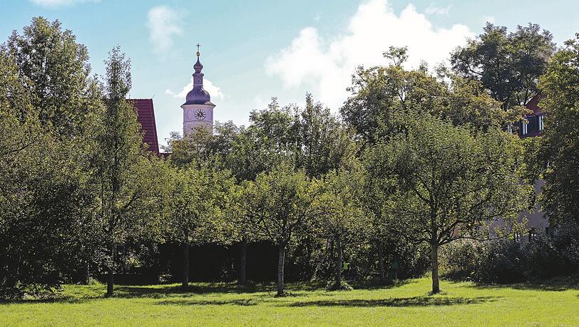 Die Obstwiese am Sendlinger Stemmerhof: Der Bioladen Stemmerhof an der Plinganserstraße ist genossenschaftlich organisiert. Die Obstwiese am Sendlinger Stemmerhof: Der Bioladen Stemmerhof an der Plinganserstraße ist genossenschaftlich organisiert.