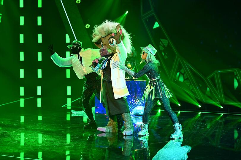Prof. Dr. Dr. Schweinstein pr&auml;sentierte "I am what I am" (Gloria Gaynor) und "Toxic" (Britney Spears) und zog als Erste ins Halbfinale ein.