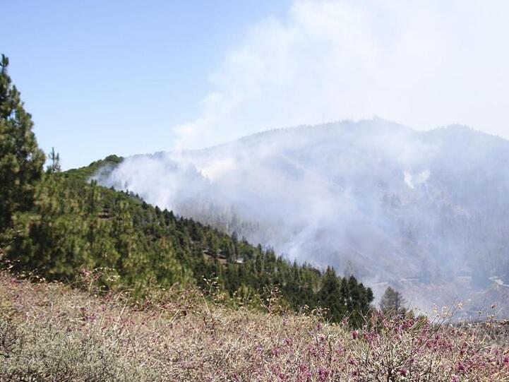Rauch steigt über Artenera auf. In den Bergen der spanischen Urlaubsinsel Gran Canaria ist ein schwerer Waldbrand ausgebrochen.