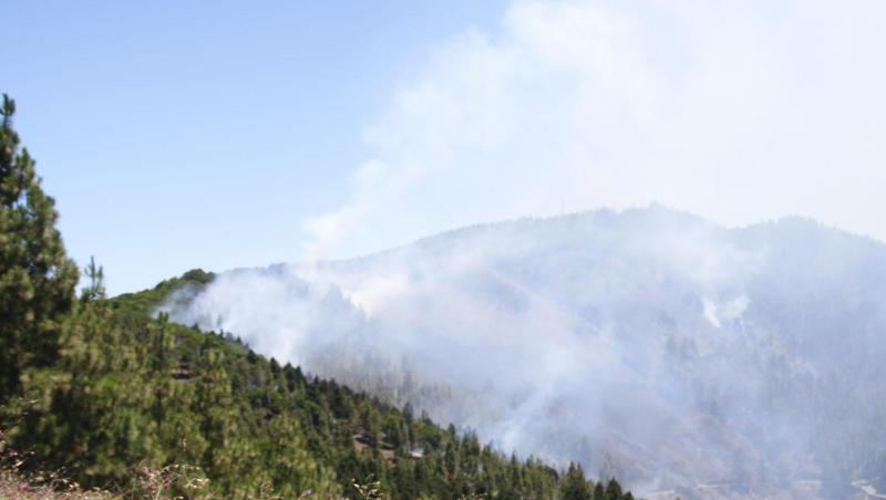 Rauch steigt über Artenera auf. In den Bergen der spanischen Urlaubsinsel Gran Canaria ist ein schwerer Waldbrand ausgebrochen. Rauch steigt über Artenera auf. In den Bergen der spanischen Urlaubsinsel Gran Canaria ist ein schwerer Waldbrand ausgebrochen.