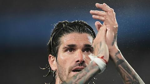Für die WM qualifiziert und Brasilien gedemütigt.