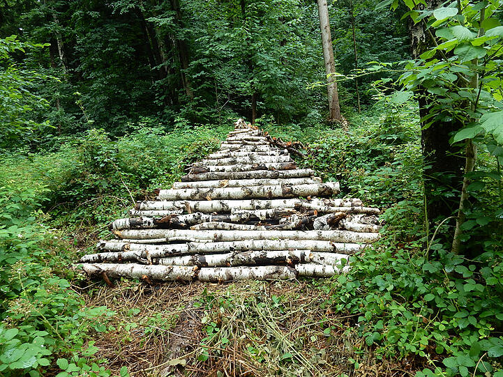 Andreas Bejenke hat abgerissene Birkenäste zu einer Pyramide gelegt, die wie ein Weg ins Nichts wirkt.