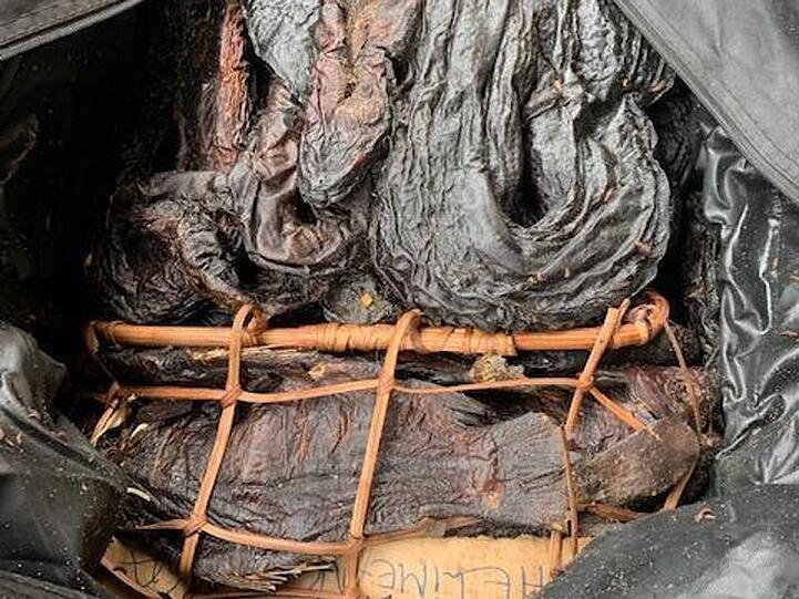 Getrocknete Schlangen und Fische befinden sich in einer geöffneten Tasche. Foto: Bundespolizei/Archiv