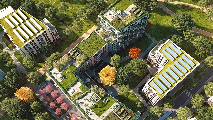 Wer am Kirschgelände als Bewohner künftig Salat und Tomaten pflanzen will, kann das auf einer gemeinschaftlich genutzten grünen Dachterrasse tun. Wer am Kirschgelände als Bewohner künftig Salat und Tomaten pflanzen will, kann das auf einer gemeinschaftlich genutzten grünen Dachterrasse tun.