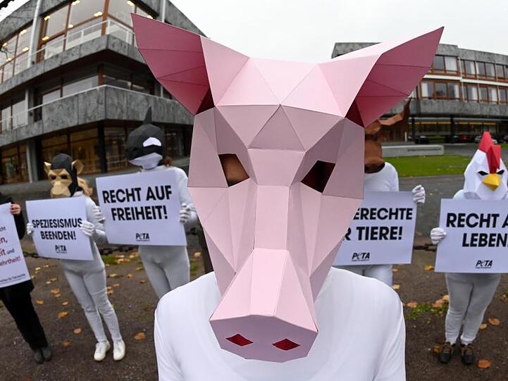 Mit Tiermasken verkleidete Aktivisten der Tierrechtsorganisation Peta protestieren mit Plakaten vor dem Bundesverfassungsgericht.