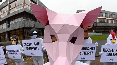 Mit Tiermasken verkleidete Aktivisten der Tierrechtsorganisation Peta protestieren mit Plakaten vor dem Bundesverfassungsgericht.
