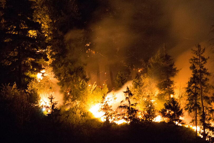 Die Polizei meldete am frühen Morgen: "Aus bisher ungeklärter Ursache kam es am Samstag, 27.07.13, abends, zu einem Waldbrand oberhalb des Thumsees bei Bad Reichenhall." Die Bilder zum Durchklicken.