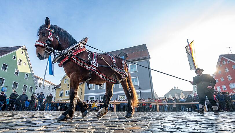 Pferde werden beim Berchinger Rossmarkt durch die Innenstadt gef&uuml;hrt. Jedes Jahr kommen Tausende Besucher zu dem eint&auml;gigen Wintervolksfest, um prachtvoll geschm&uuml;ckte Pferde und Gespanne zu sehen.