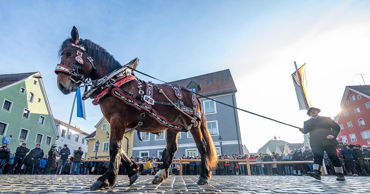 Viele-Schaulustige-beim-Berchinger-Rossmarkt
