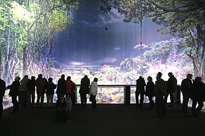 Regenwald-Panoramabild im Panometer, Foto: Asisi-Presse