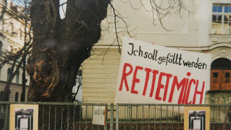 Protest 1998: Mit Transparenten am Baum wird für dessen Rettung gekämpft – mit Erfolg. Protest 1998: Mit Transparenten am Baum wird für dessen Rettung gekämpft – mit Erfolg.