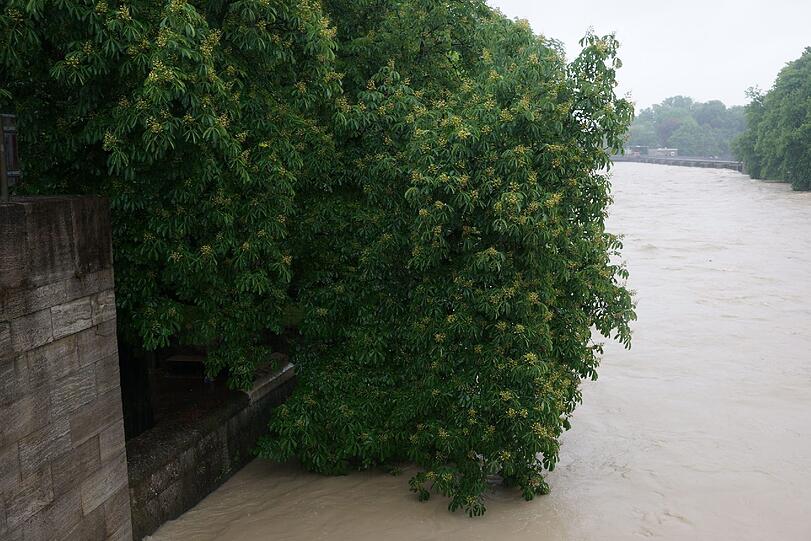 Erinnerungen an 2013: Bilder vom Hochwasser in München.