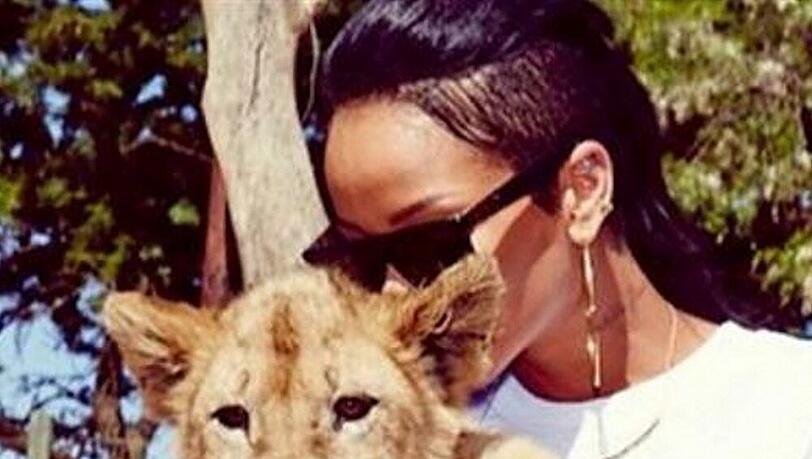 Zwei Katzen aus zwei Welten: Rihanna mit Löwenbaby