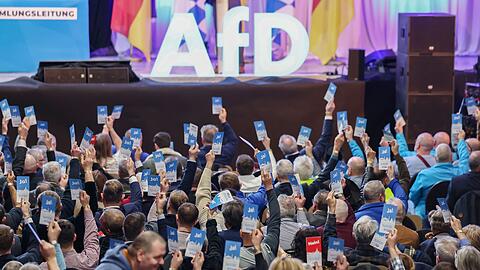 Die bayerische AfD trifft sich zu einem Parteitag. (Archivbild)