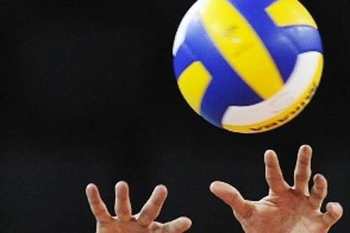 Die Volleyballer von Generali Haching spielen Champions League - und bilden Nachwuchs aus.