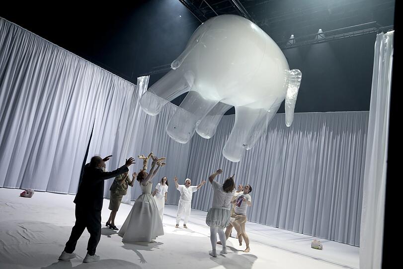 Der Elefant im Raum.