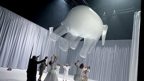 Der Elefant im Raum.