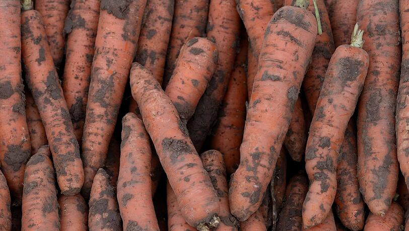 Bei der F&ouml;rderung des Bio-Anbaus ist nach Ansicht des Verbandes B&Ouml;LW noch viel Luft nach oben. (Archivbild)