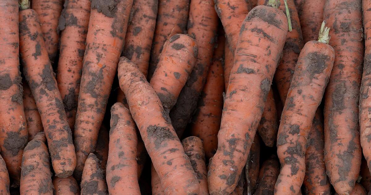 Bio-zunehmend-gefragt-Anbaufl-che-w-chst-nur-verhalten