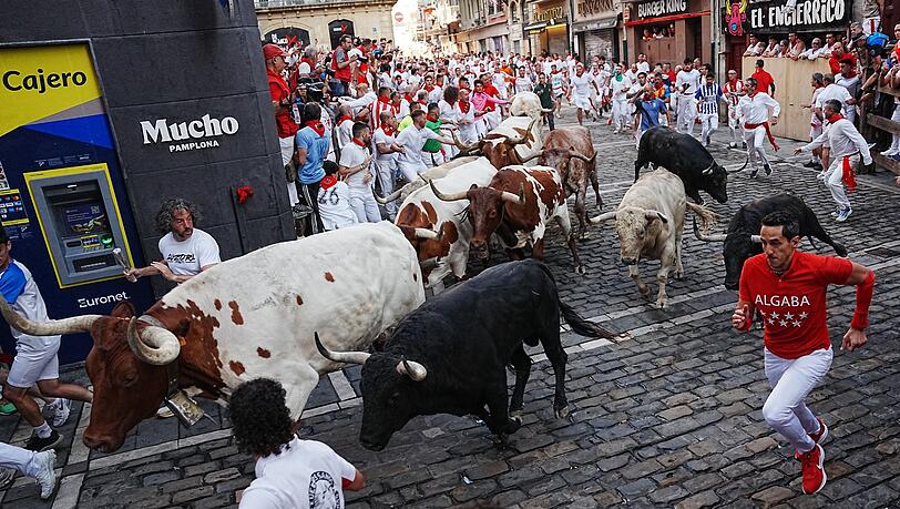 Die Stierhatzen im nordspanischen Pamplona sind schnell und gef&auml;hrlich. Beim ersten von acht L&auml;ufen gab es zum Gl&uuml;ck nur Leichtverletzte. Die Bullen aber sterben am sp&auml;ten Nachmittag in der Stierkampfarena.