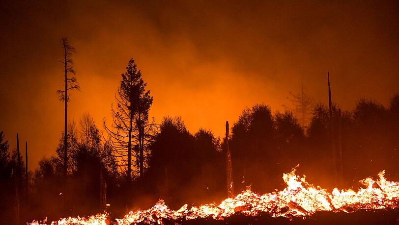 Die Waldbrandgefahr steigt mit dem Klimawandel, da Dürren häufiger werden. (Illustration) Die Waldbrandgefahr steigt mit dem Klimawandel, da Dürren häufiger werden. (Illustration)