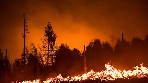 Die Waldbrandgefahr steigt mit dem Klimawandel, da Dürren häufiger werden. (Illustration)