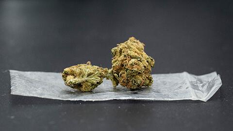 Bis zu 25 Gramm Cannabis sollen künftig erlaubt sein.