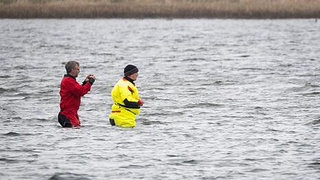 Till Backhaus l&auml;uft zum Buckelwal
