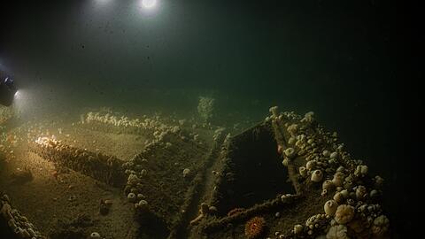 Das Team von "ProjectXplore" hat es sich zum Ziel gesetzt, historisch bedeutsame Schiffswracks zu finden.