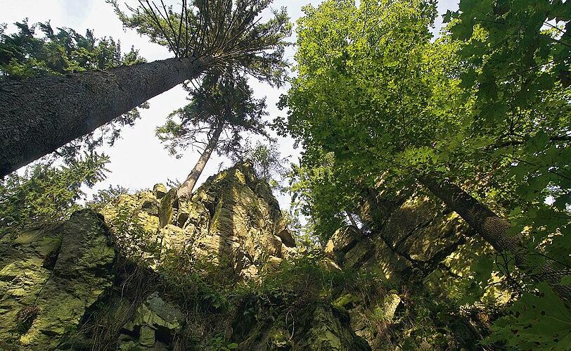 Die Natur genießen.