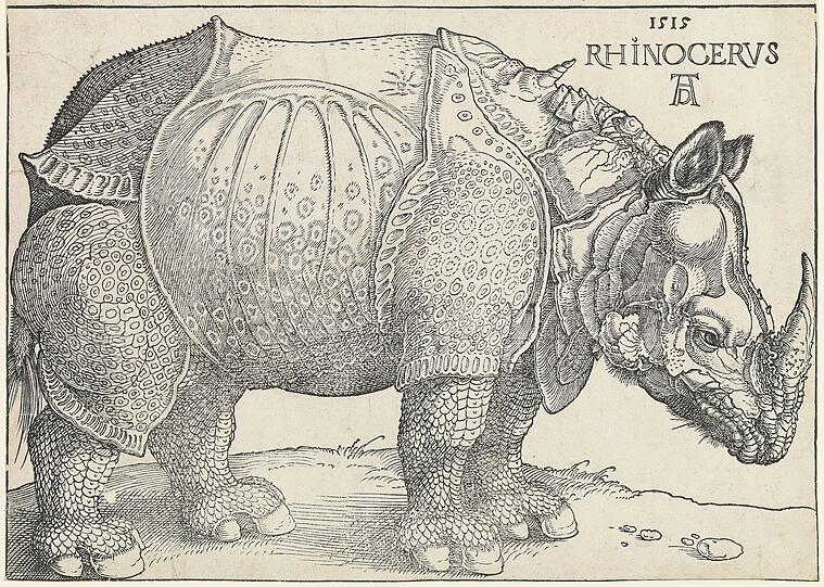 Ein Rhinozeros aus Indien ertrank einst im Meer. Das hat Albrecht Dürer zu einem seiner bekanntesten Holzschnitte inspiriert. Selbst hat er kein Nashorn je in natura gesehen, aber seine Version 1515 nach genauen Beschreibungen geschaffen.