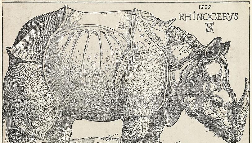 Ein Rhinozeros aus Indien ertrank einst im Meer. Das hat Albrecht Dürer zu einem seiner bekanntesten Holzschnitte inspiriert. Selbst hat er kein Nashorn je in natura gesehen, aber seine Version 1515 nach genauen Beschreibungen geschaffen.