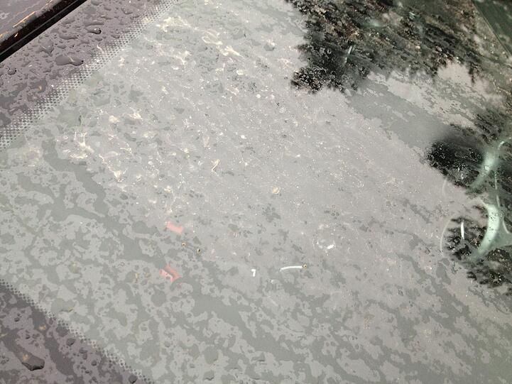 Sahara-Regen in München und im Umland im Februar 2014.