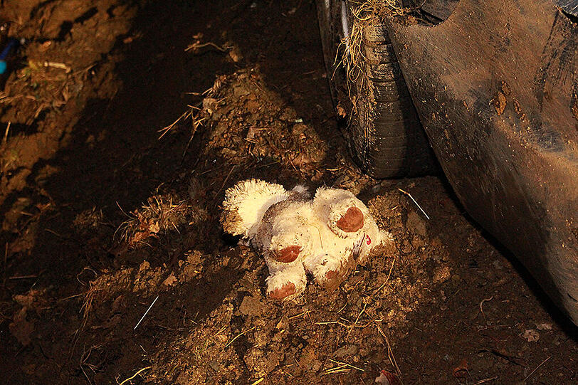 Gestohlener Jaguar überschlägt sich nach Verfolgungsjagd. Die Bilder vom Unfallort.
