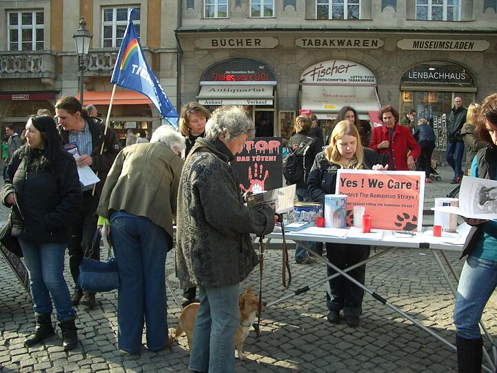 Um die 150 Tierfreunde waren am Rindermarkt, um mit Plakaten, Flyern, Bannern und Gesprächen über die Streunerproblematik und die grausamen Tötungen der Hunde in Rumänien aufzuklären.