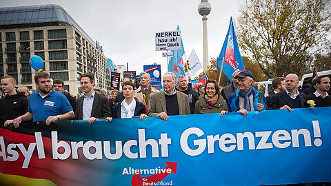 Die AfD marschiert Ende 2015 in Berlin auf. Zum Abschluss der Herbstoffensive gegen das &bdquo;Asylchaos&ldquo; ist die Parteiführung ganz vorne mit dabei (ab dem 3. v.l.): NRW-Landeschef Marcus Pretzell, Parteichefin Frauke Petry sowie die Parteivize Alexander Gauland und Beatrix von Storch.
