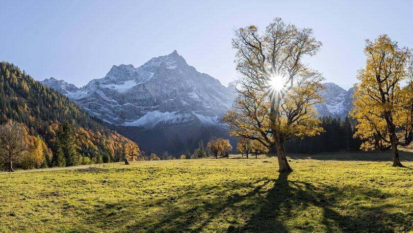 Die vielen Ahornbäume im Naturpark Karwendel entzücken jedes Jahr die Besucher. Doch auch andere, knorrige Laubbäume verfärben sich in diesen Wochen, zusammen mit der Kulisse von gezuckerten Felswänden eine Umgebung, die die perfekte Fotokulisse bietet. Die vielen Ahornbäume im Naturpark Karwendel entzücken jedes Jahr die Besucher. Doch auch andere, knorrige Laubbäume verfärben sich in diesen Wochen, zusammen mit der Kulisse von gezuckerten Felswänden eine Umgebung, die die perfekte Fotokulisse bietet.