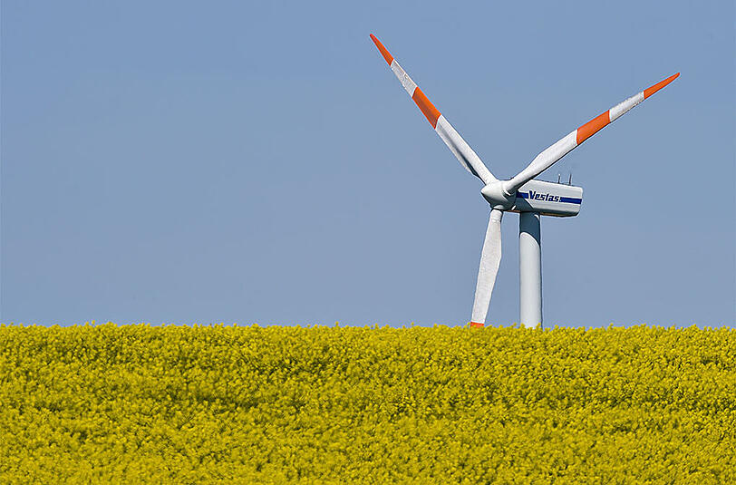 Erneuerbare Energien haben in Deutschland im vergangenen Jahr bei Erzeugung und Verbrauch den Spitzenplatz vor der Braunkohle übernommen.