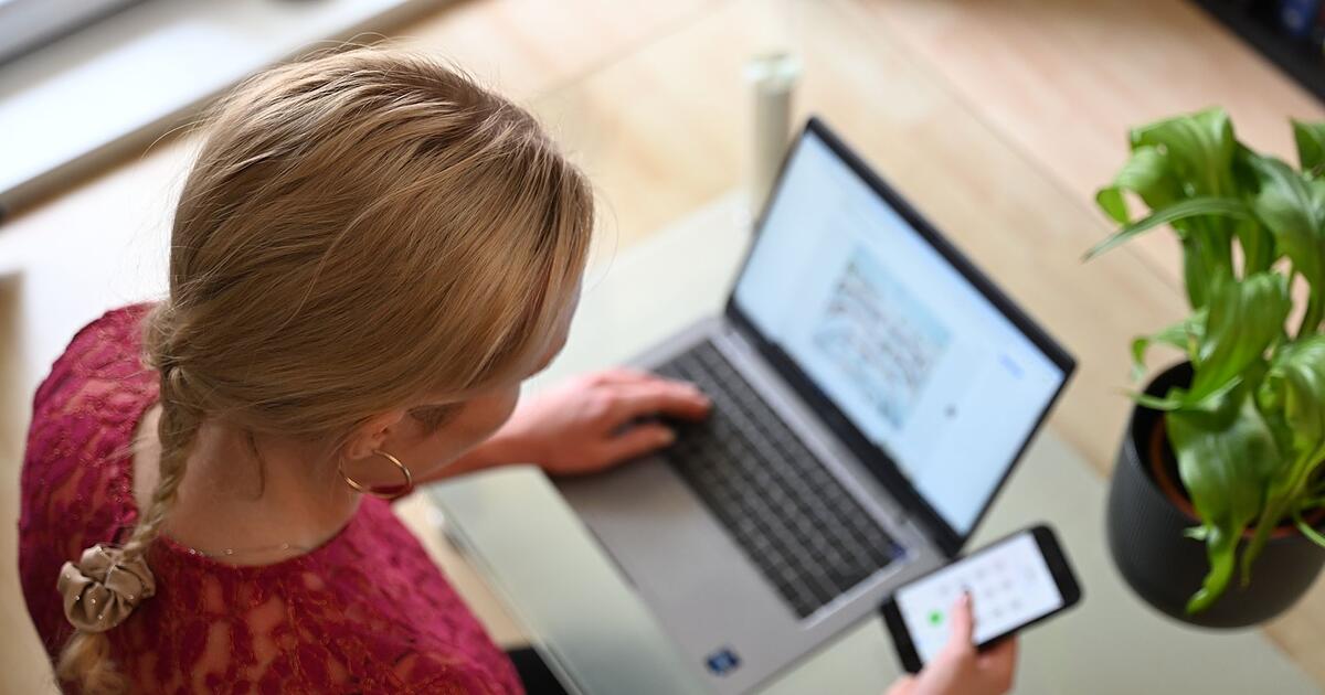 Viele-B-rger-haben-Online-Beh-rdendienste-noch-nie-genutzt