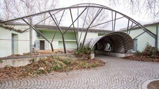 Außenanlage Rotscheitelmangaben Hellabrunn 2019