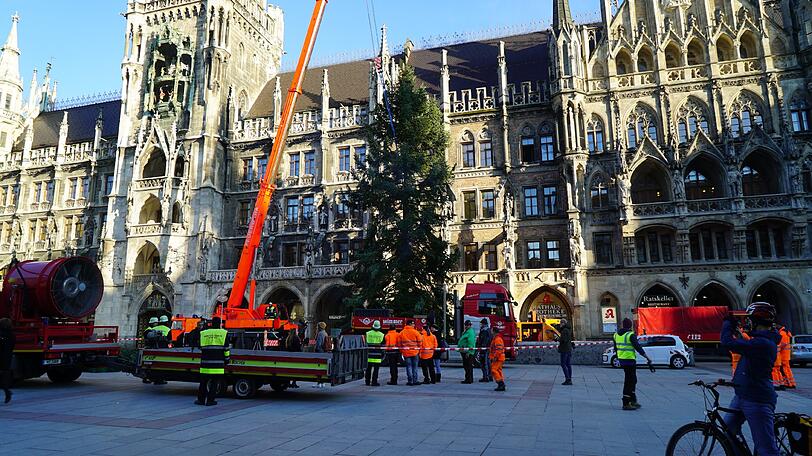 Schaut aber schon ganz gerade aus! Frei nach dem Motto: "In München steht kein schiefer Christbaum!" So zumindest die Vorgabe eines Verantwortlichen der Feuerwehr.