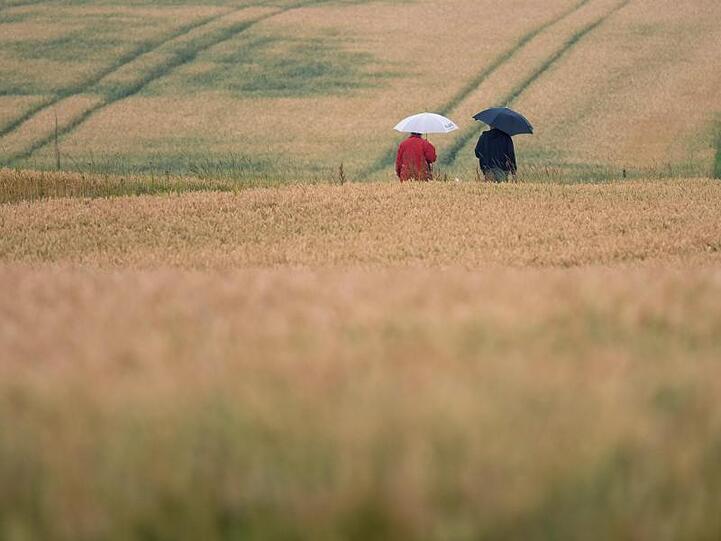 Zwei Spaziergänger gehen mit Regenschirmen zwischen Feldern. Foto: Marijan Murat/dpa/Archivbild
