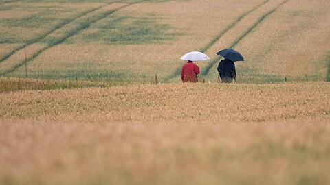 Zwei Spaziergänger gehen mit Regenschirmen zwischen Feldern. Foto: Marijan Murat/dpa/Archivbild