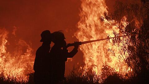 Die Feuer haben verheerende Sch&auml;den angerichtet.
