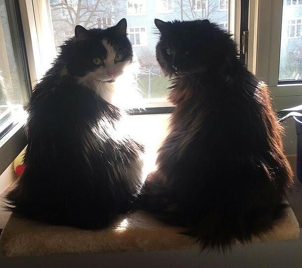 Leni und Emma