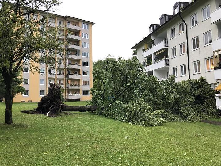 Im Stadtteil Untergiesing sind bei einem Gewitter Bäume entwurzelt worden. Foto: Manuel Schwarz/dpa