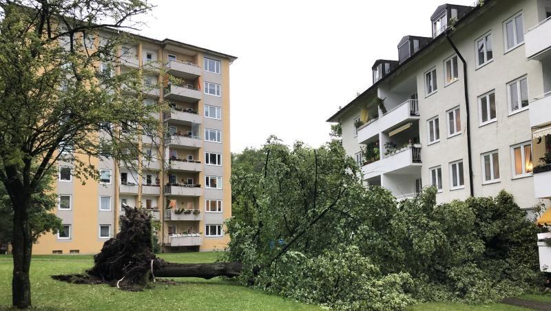 Im Stadtteil Untergiesing sind bei einem Gewitter Bäume entwurzelt worden. Foto: Manuel Schwarz/dpa Im Stadtteil Untergiesing sind bei einem Gewitter Bäume entwurzelt worden. Foto: Manuel Schwarz/dpa