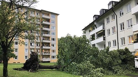 Im Stadtteil Untergiesing sind bei einem Gewitter Bäume entwurzelt worden. Foto: Manuel Schwarz/dpa