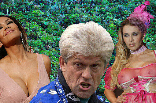 Hier mal ein konstruktiver Beitrag zur Debatte um das Dschungelcamp: Die folgenden Promis würden wir gerne in der RTL-Show sehen...