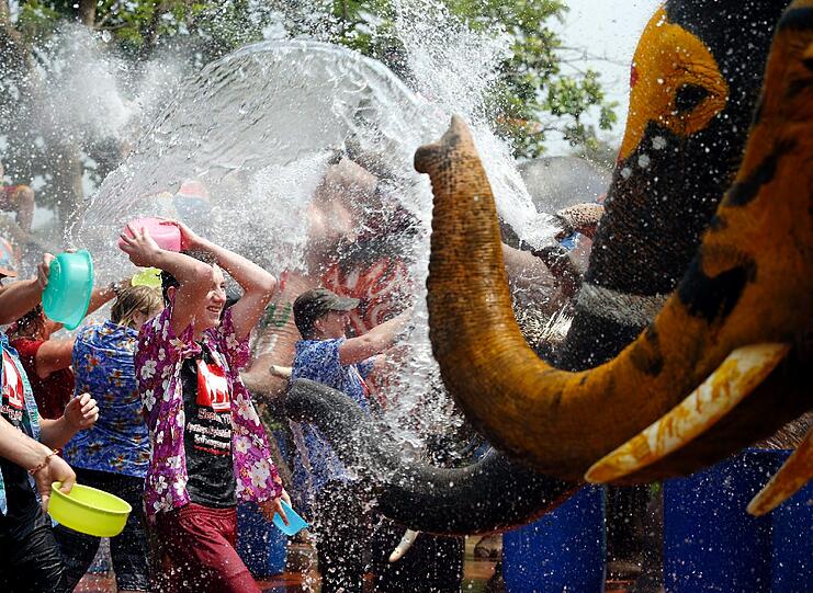 In Thailand steht Songkran bevor, das traditionelle Neujahrsfest: Schon jetzt bespritzen sich Menschen im ganzen Land mit Wasser - doch viel besser können das natürlich die Elefanten.